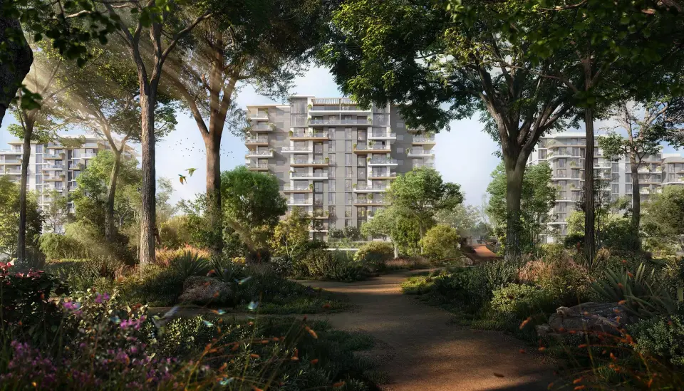 Lacina by Majid Al Futtaim in Ghaf Woods