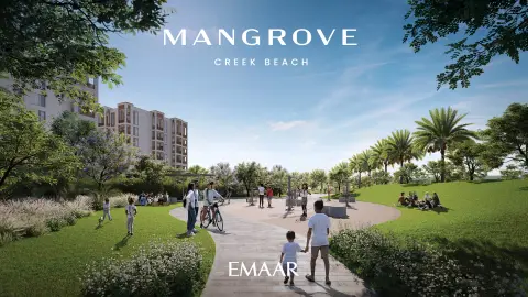 Mangrove: Photograph 5 of 11