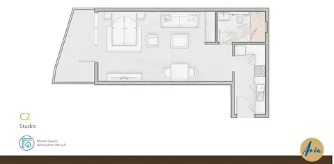 Aria Apartments: Floor plan Studio Apartment C2, Size 580 sq ft, 580 sq ft