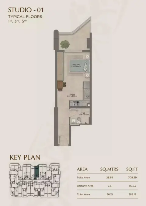 Elinor: Floor plan Type 01, 389 sq ft