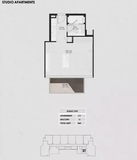 Wadi 645: Floor plan Type A, 460 sq ft