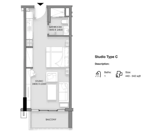 Rose Garden Phase 2: Floor plan Type C, 443 sq ft
